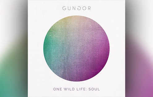 Gungor - One Wild Life