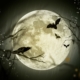 Le cœur d'un homme