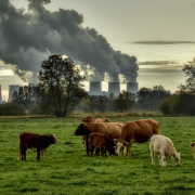 La jeunesse pour la planète